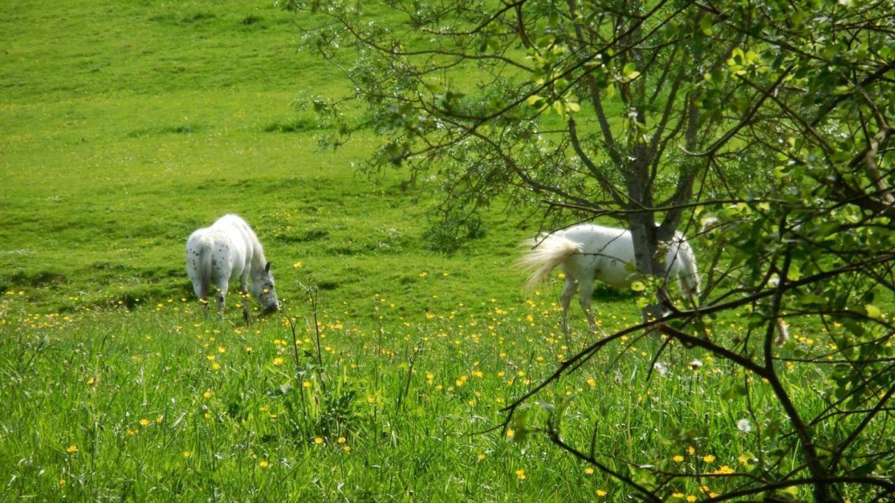 Appaloosa Villa Lormes Luaran gambar